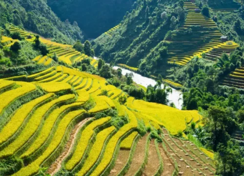 Travel Guide to Visit Vietnam in Summer