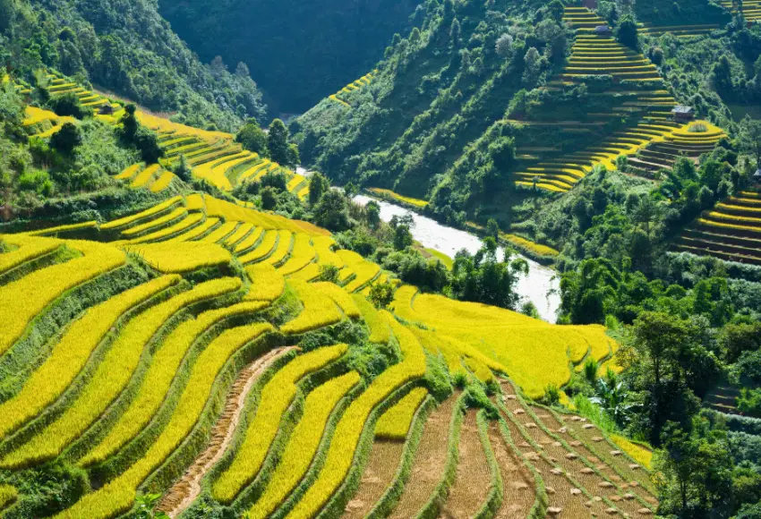 Travel Guide to Visit Vietnam in Summer