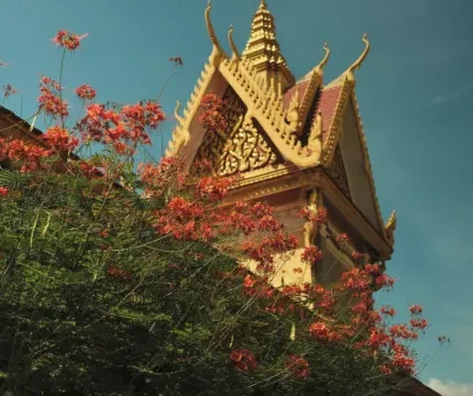 Indochina Highlights