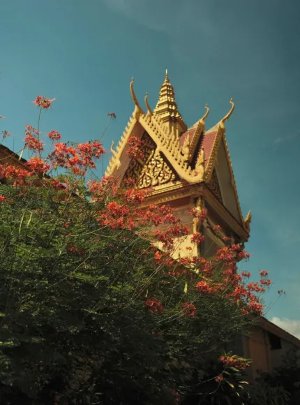 Indochina Highlights
