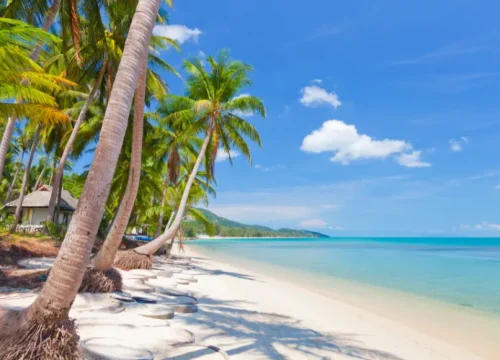 Travel Tips for Thailand – Summer 2025 Essentials
