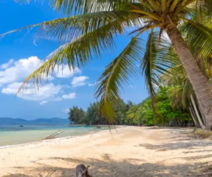 From Heritage to Island Bliss of Vietnam