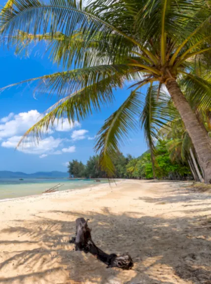 From Heritage to Island Bliss of Vietnam