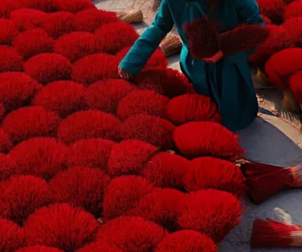 Colours of Vietnam - From Old Quarter to Mekong Delta