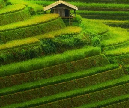 Vietnam Unleashed - Youth Adventure
