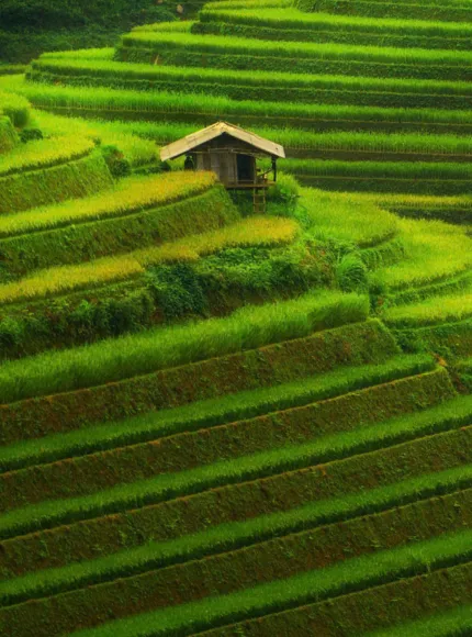 Vietnam Unleashed – Youth Adventure