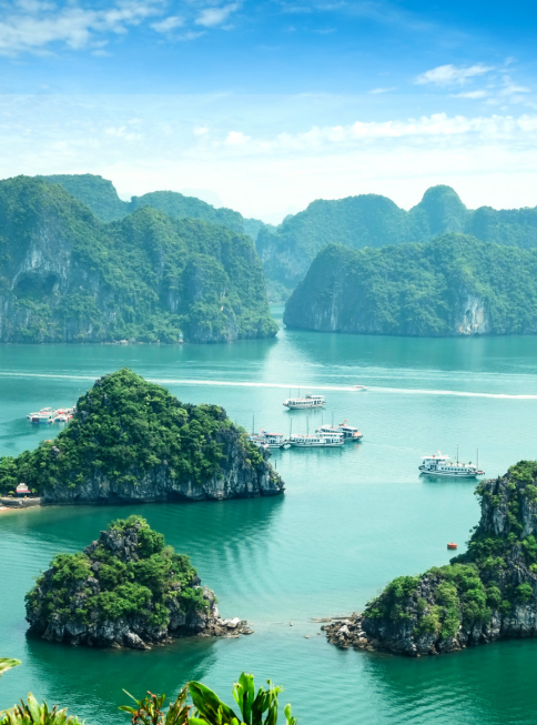 Vietnam Panorama: A Journey Through Culture, Coastlines & Hidden Gems